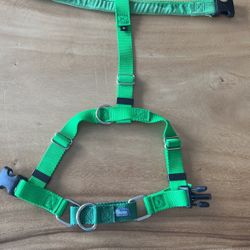 Dog Harness