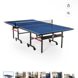 Ping pong Table 