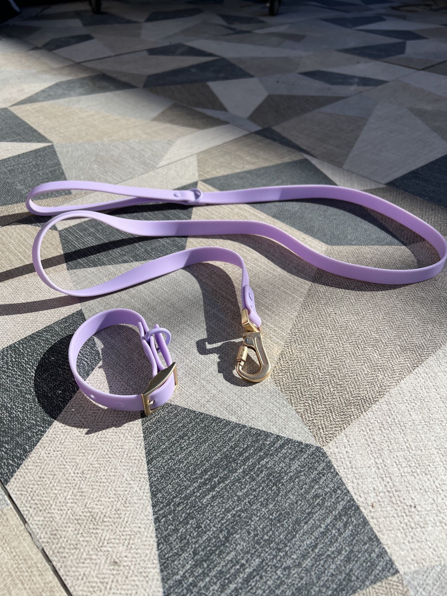 Dog Collar And Leash 