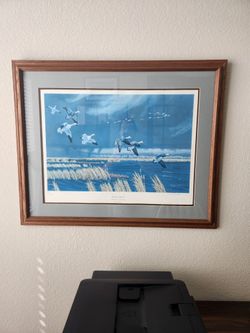 Ducks unlimited framed picture