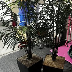 2 Palm Artificial Plants 
