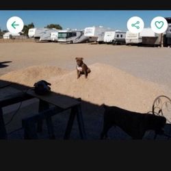 RV STORAGE 