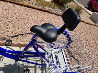 Westport folding tricycle clearance
