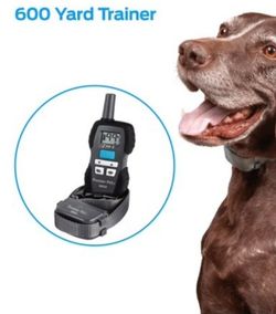 used dog training collars for sale