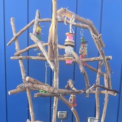 African Grey Perch ! Custom Made —- Hard Durable Ribbon Wood! 