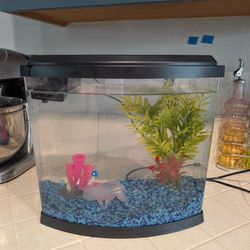 Small Fish Tank