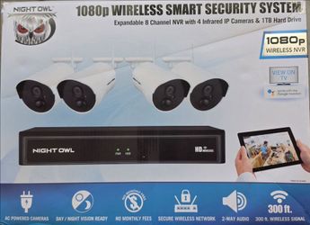 Surveillance cameras system