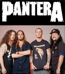 PANTERA LIVE DVD'S !!!!!!!