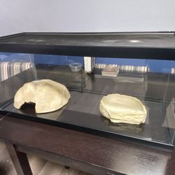 Terrarium with Hide, Water Dish and Heat Lamp