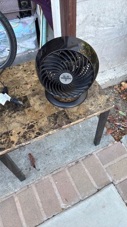 Fan