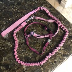 Collar Y Correa Rosa 