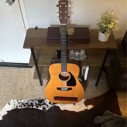 Eterna Acoustic Full Size Guitar 