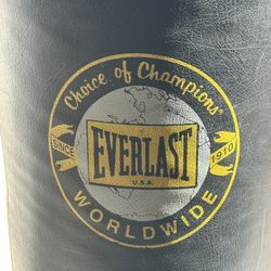 Everlast Punching Bag