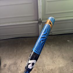 Softball Bat