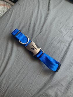 Dog collar- large