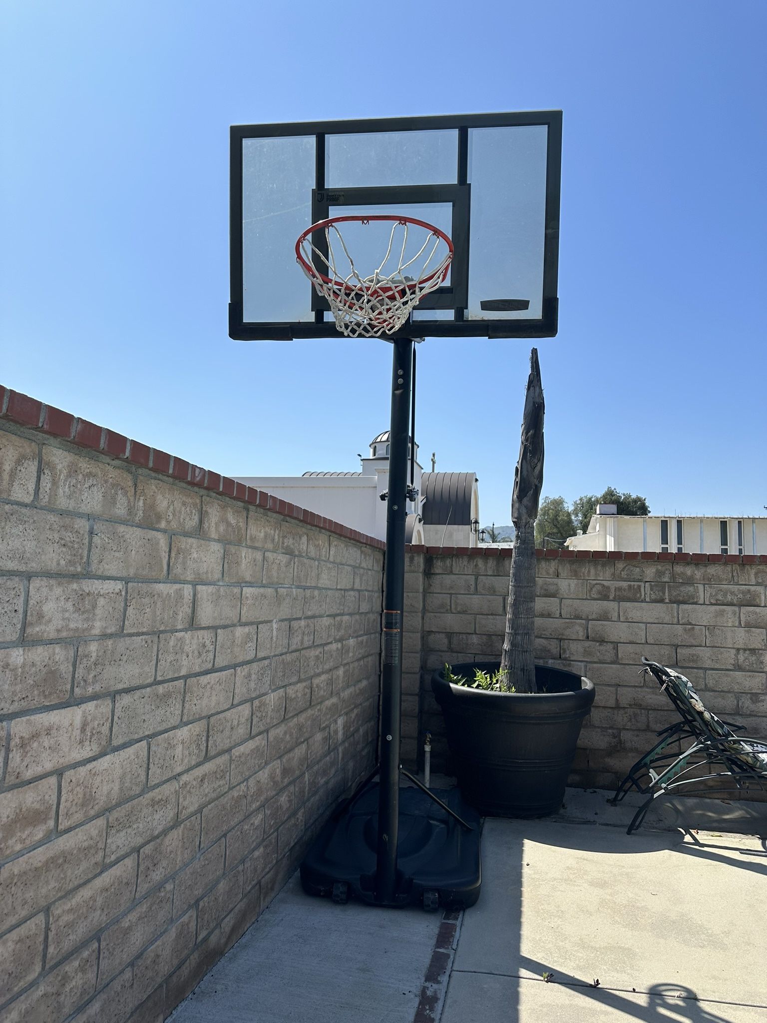 Basketball Hoop (Lifetime Brand)