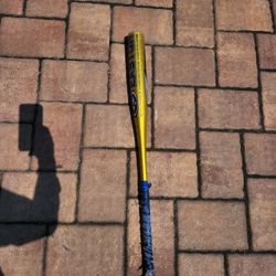 Baseball Bat