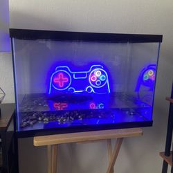 20 Gallon Fish Tank