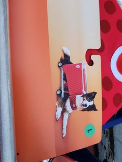 Target pet Costume size Large