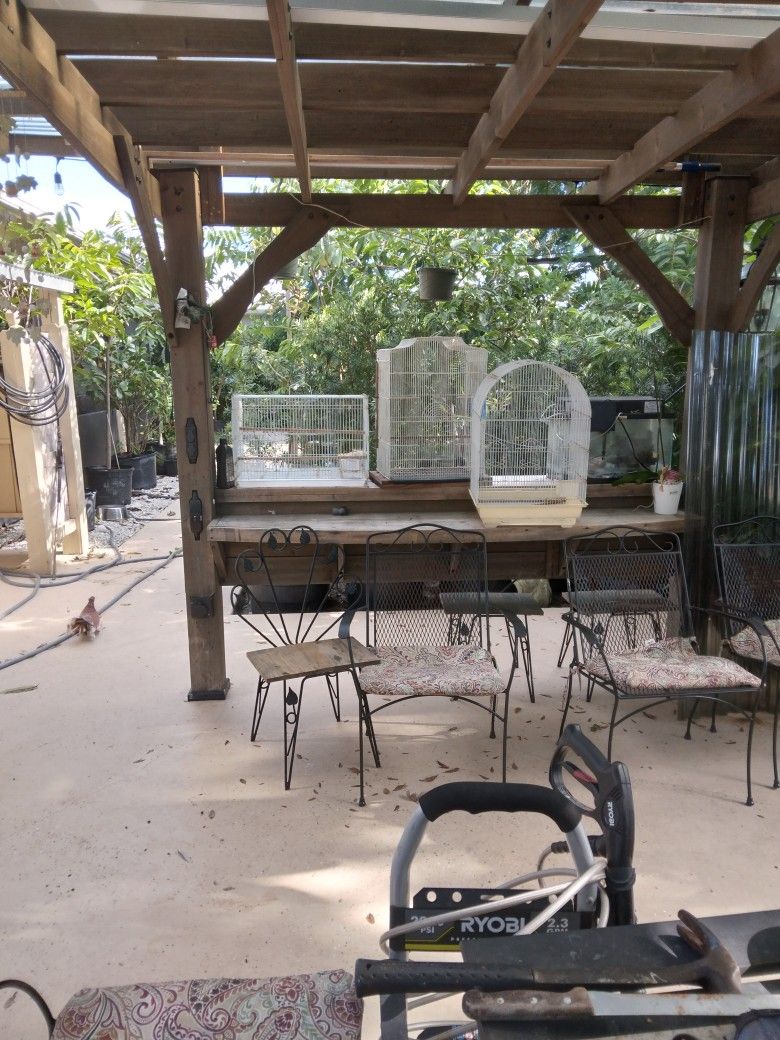 Bird Cages and fancy pigeon