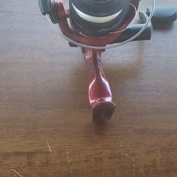 Shakespeare Basic Reel