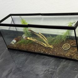 Aquarium / terrarium 