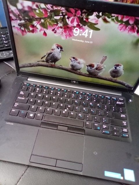 Dell Laptop