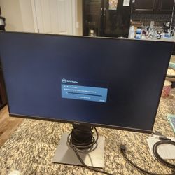 Dell 24" Monitor 