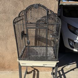 Parrot cage