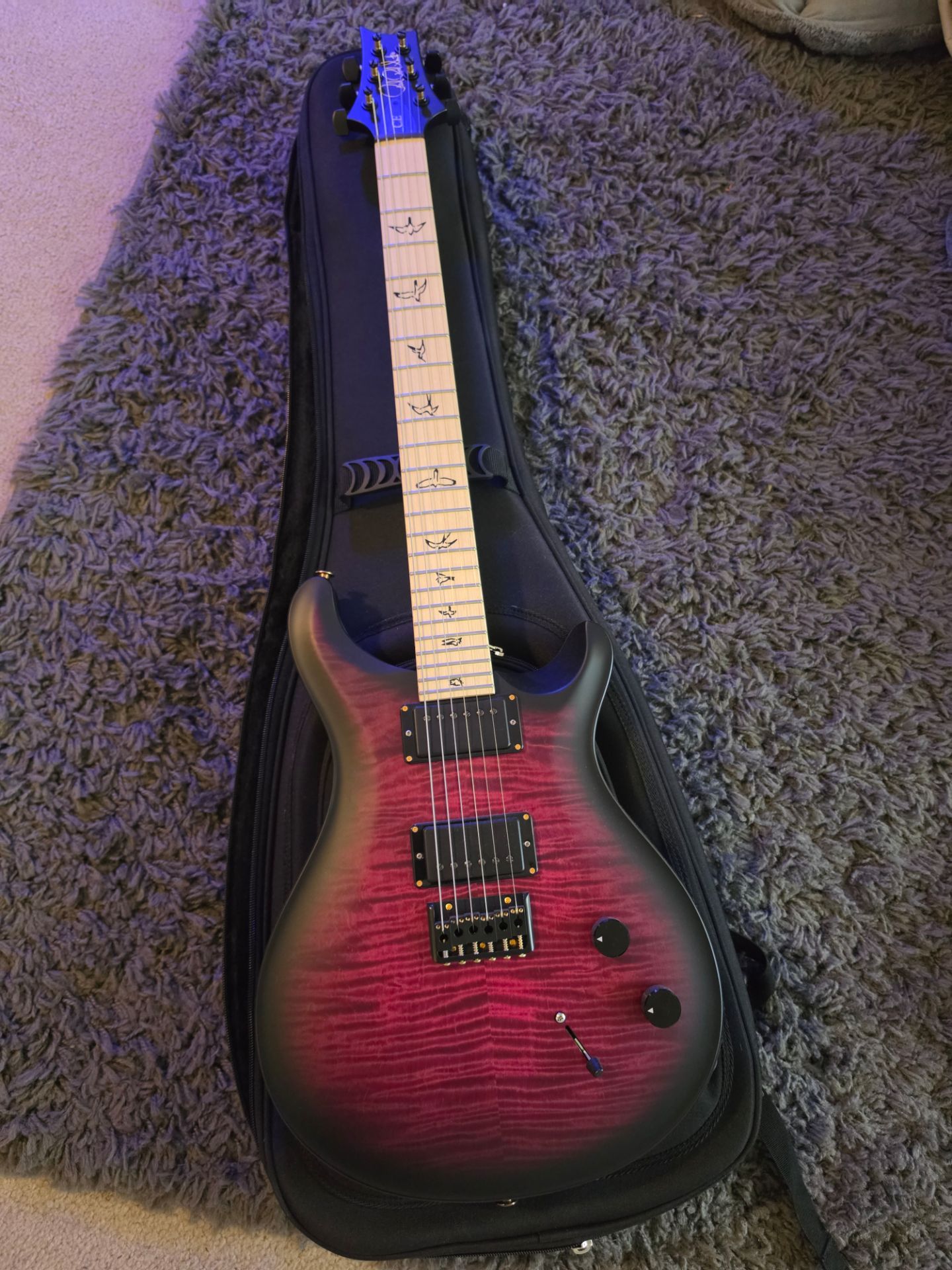 PRS CE Dustie Waring Signature Guitar