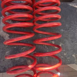 Dobinsons Rear Springs 