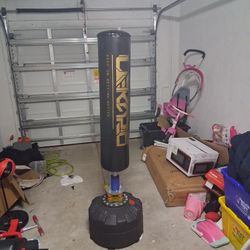 Punching Bag