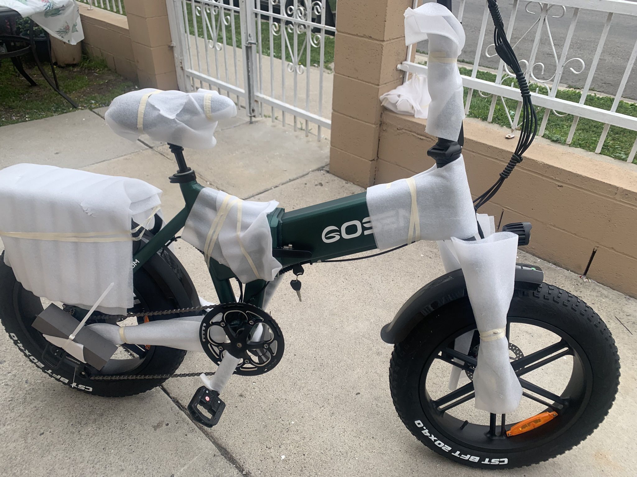 NEW GOSE ELECTRIC BIKE
