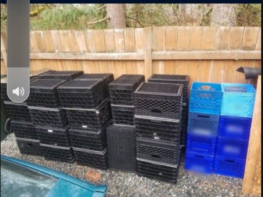 Storage Containers 