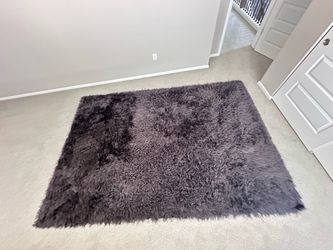 Gray Shag Area Rug