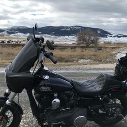 2016 Harley Davidson Street Bob