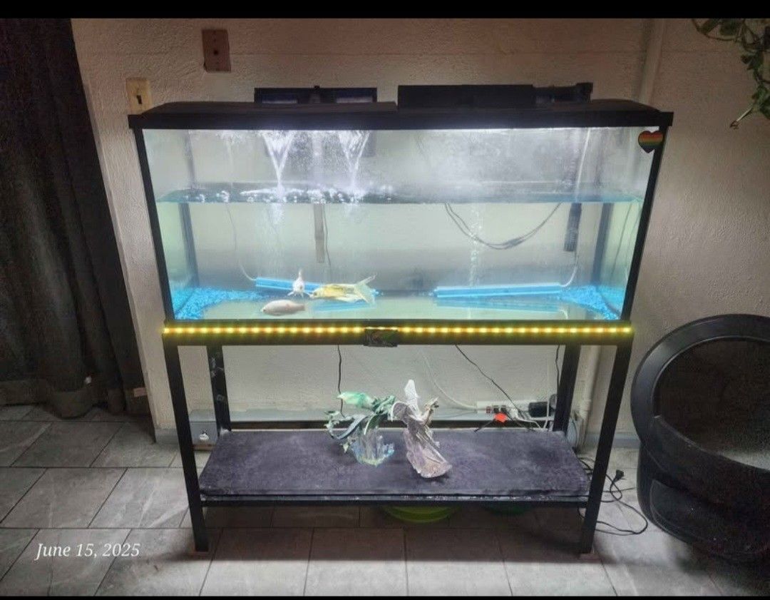 55 Gallon Fish Tank And Stand