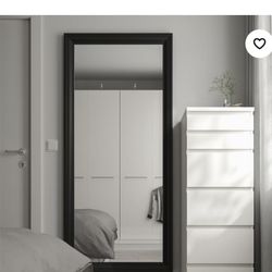 Mirror, black, 29 1/2x65 "