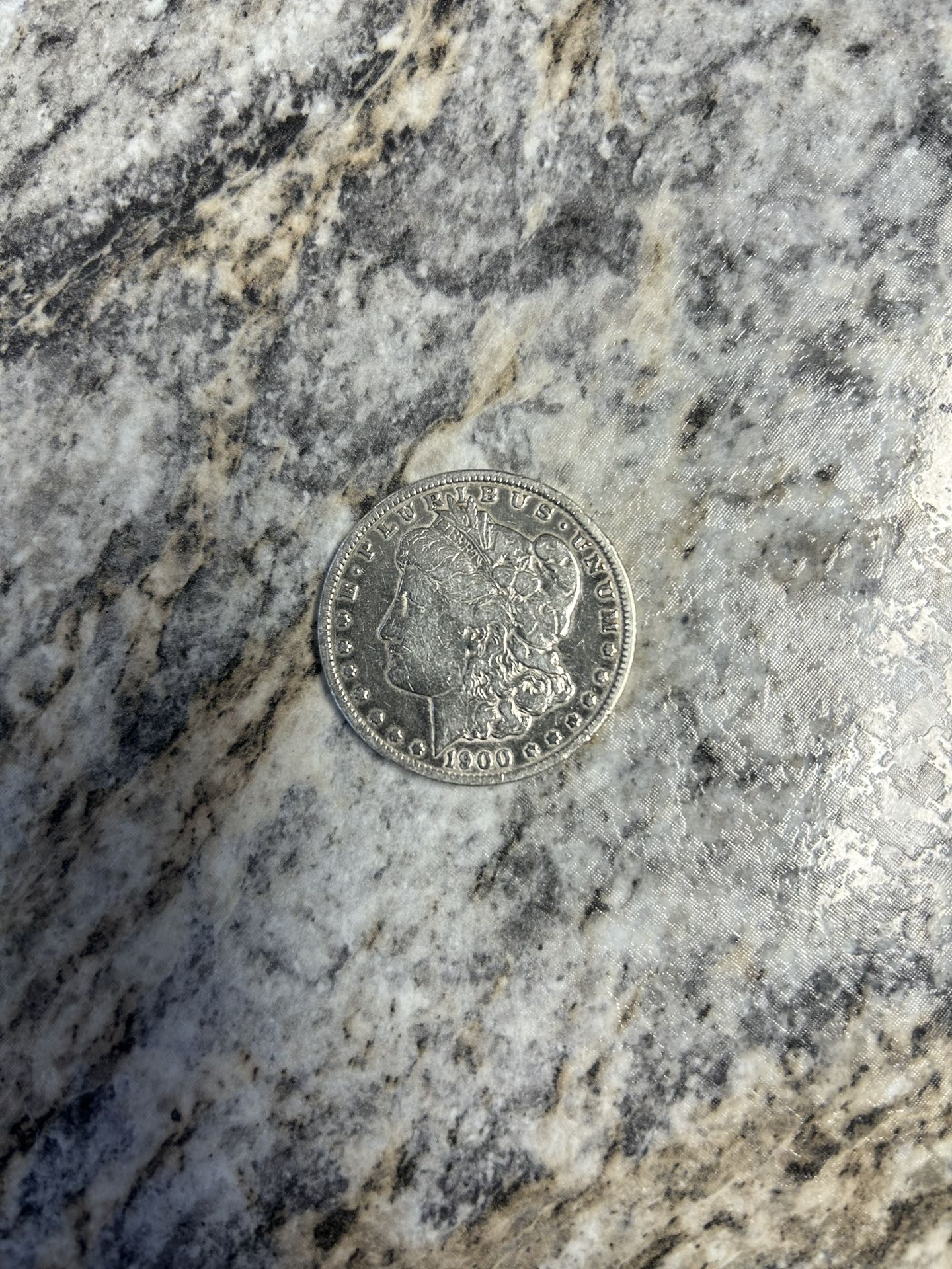 Morgan Silver Dollar 1900–0