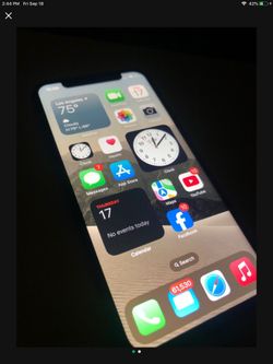 iPhone X Unlocked