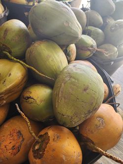 Coconuts Fresh