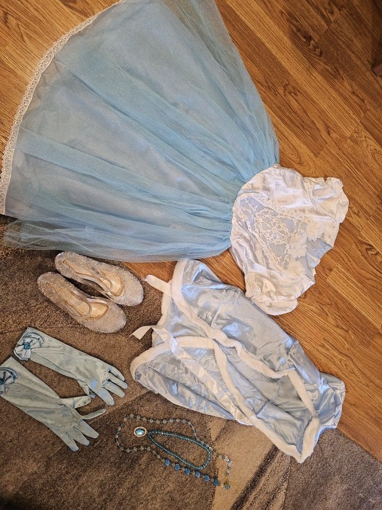 Cinderella Dress