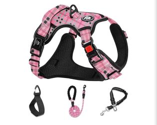 Dg harness #N