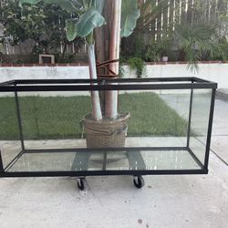 55 Gallon Glass Aquarium Tank