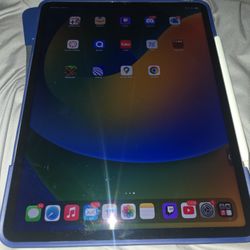 IPad Pro 12.9in, 256gb, 6th Gen (2022), Lightly Used