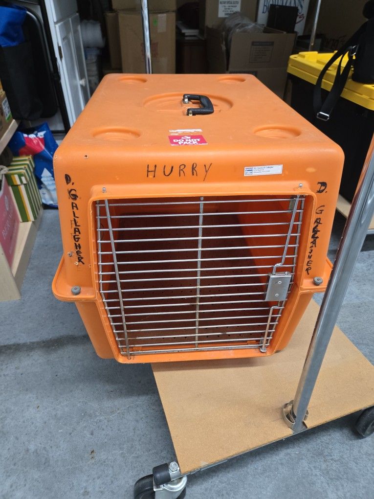 Dog/cat Carrier