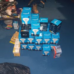 Lots OF LIGHTBULBS