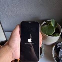 Iphone 12 Pro