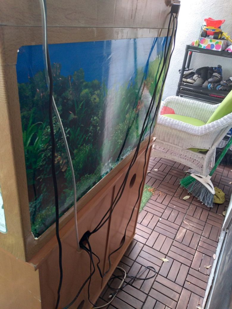 Fish tank for sell must go moving