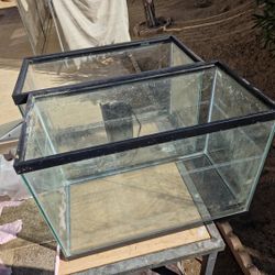 Aquariums + Accessories 